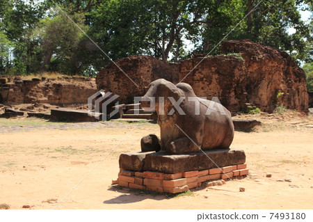 Preia Ko的Nandin 7493180