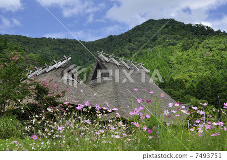 Miyama Seki no Sato 7493751