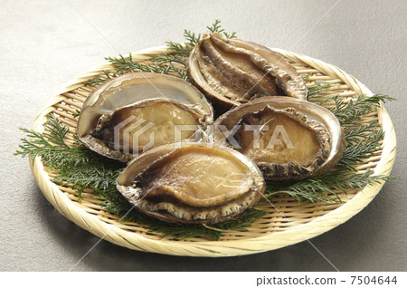 鮑魚 鮑魚 7504644
