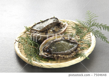 鮑魚 鮑魚 7504648