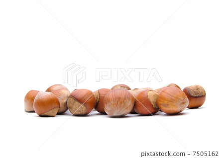 Hazelnuts 7505162