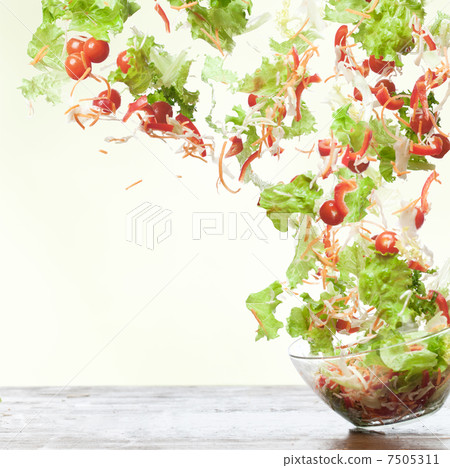 Flying salad 7505311
