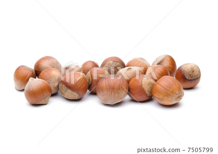 Hazelnuts 7505799