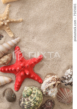 Sea shells with sand 7505801