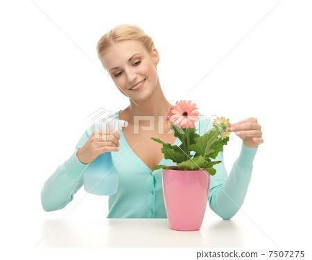 woman holding pot with flower and spray bottle 7507275
