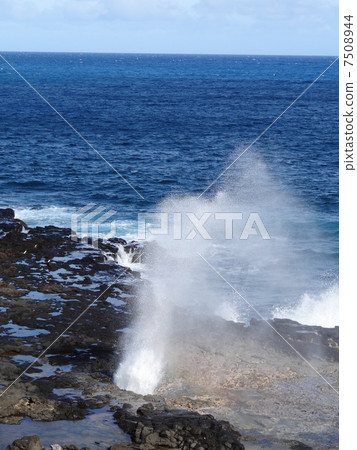 Squirty rock Squirty rock 7508944