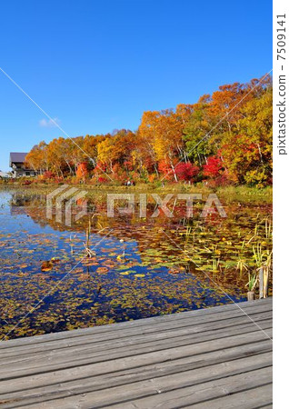 Hasuike Shiga Kogen 7509141