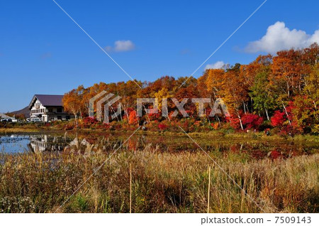 Hasuike Shiga Kogen 7509143