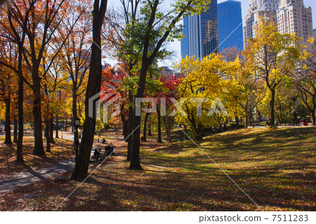 Autumn's Central Park Autumn's Central Park 7511283