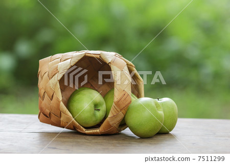 green apples in a birchbark basket green apples in a birchbark basket 7511299