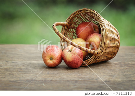 gala apples in a wicker basket gala apples in a wicker basket 7511313