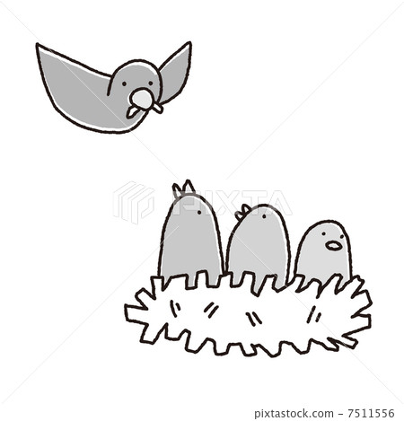 鳥的油膩灰色 7511556