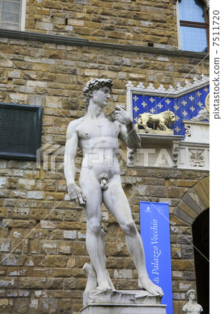 David statue 7511720