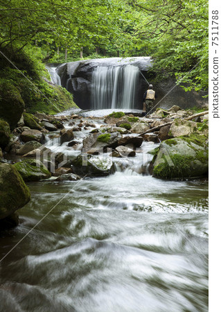 Sawaya山谷 7511788