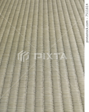 榻榻米 榻榻米 7511814