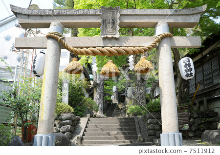 Shark's fancy 7511912