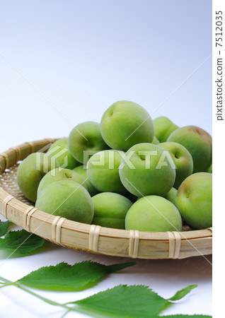 清爽的青梅 清爽的青梅 7512035