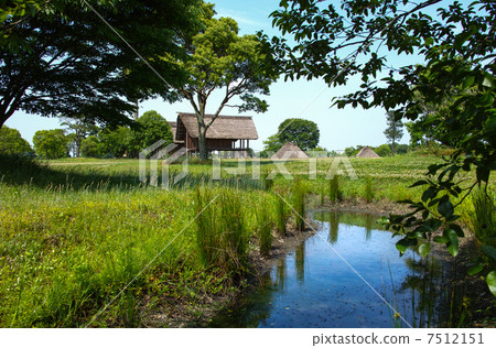 Hiratsuka Kawazoe Archaeological Park Hiratsuka Kawazoe Archaeological Park 7512151