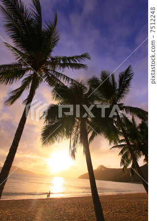Morning glow of Hamilton Island Morning glow of Hamilton Island 7512248