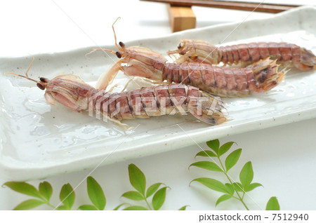 煮沸的沙科 7512940