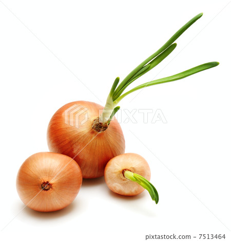 onions 7513464