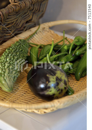 Summer vegetable 7513540