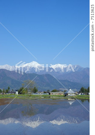 春天信州安曇野/北阿爾卑斯山 7513625