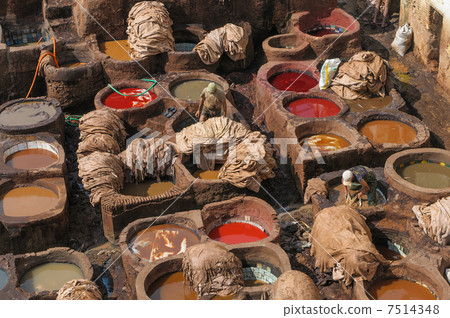 Tannery in Fez, Morocco 7514348