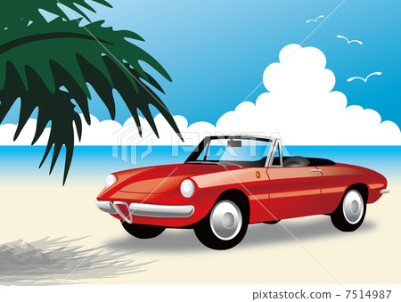 Open car 7514987
