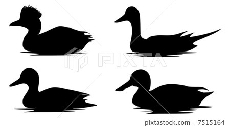 Waterfowl silhouette 7515164