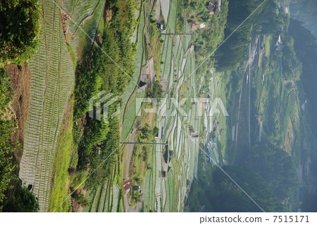 Shinjo-shi, Aichi Prefecture, Yotsuya thousand paper Shinjo-shi, Aichi Prefecture, Yotsuya thousand paper 7515171