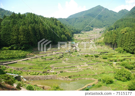 Shinjo-shi, Aichi Prefecture, Yotsuya thousand paper Shinjo-shi, Aichi Prefecture, Yotsuya thousand paper 7515177