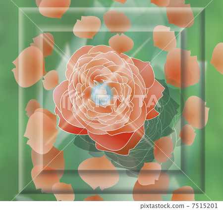 rose, illustration, red 7515201