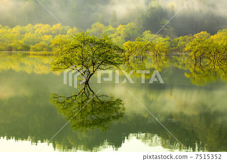 Asagiri lake Asagiri lake 7515352