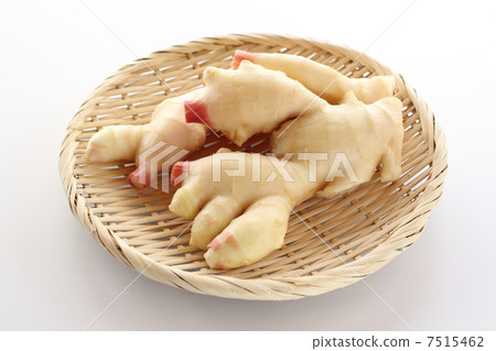  ginger 7515462