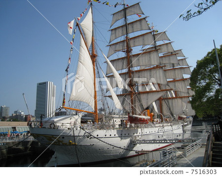 帆船Nippon Maru 7516303