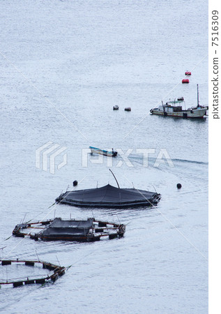 Aquaculture raft floating in the sea 7516309