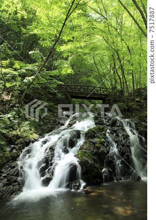 Okura Hitaki Shizuoka瀑布 Okura Hitaki Shizuoka瀑布 7517887