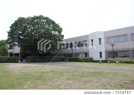 Ibusu地區中心 7518747