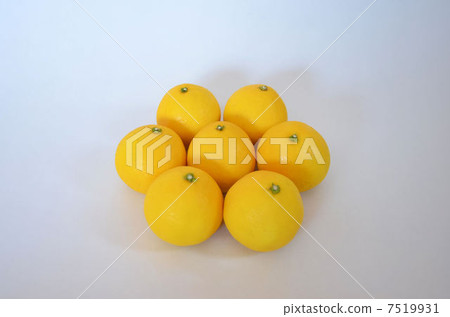 Small summer Small summer 7519931