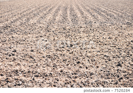 Fertile earth 7520284
