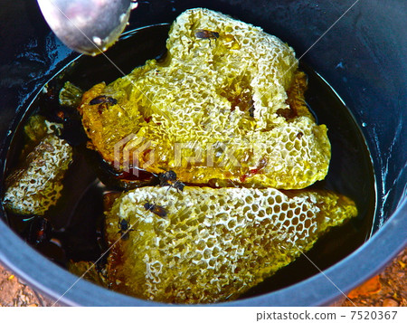 Honeycomb (Vientiane / Laos) Honeycomb (Vientiane / Laos) 7520367