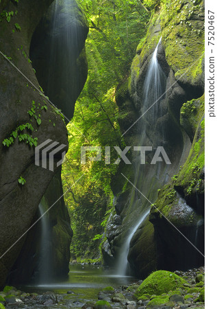 Yufugawa Valley of fresh green 7520467