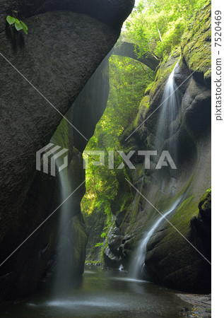 Yufugawa Valley of fresh green 7520469