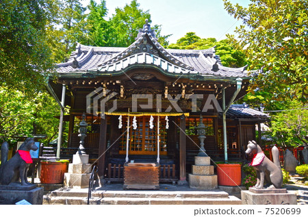 The main hall of "Sanmegori Shrine" (Mukojima Sumida-ku, Tokyo) 7520699