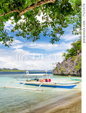 Tropical seashore 7521478