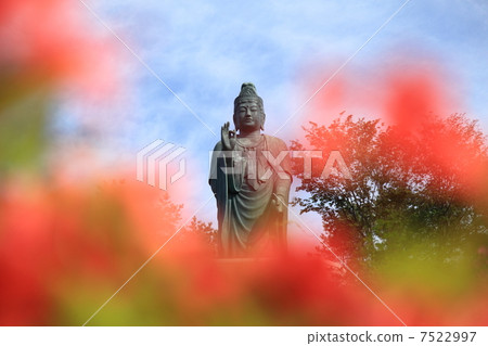 加隆先生 7522997