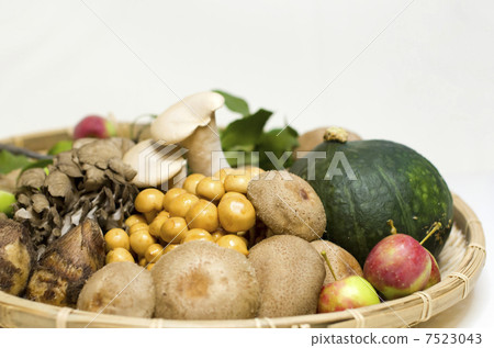 Assorted mushrooms 7523043