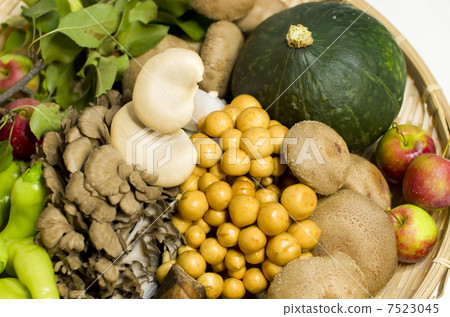 什錦蘑菇 什錦蘑菇 7523045