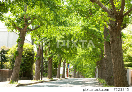 住宅街道人行道 7523245